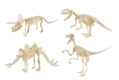 Dinozauro skeletas