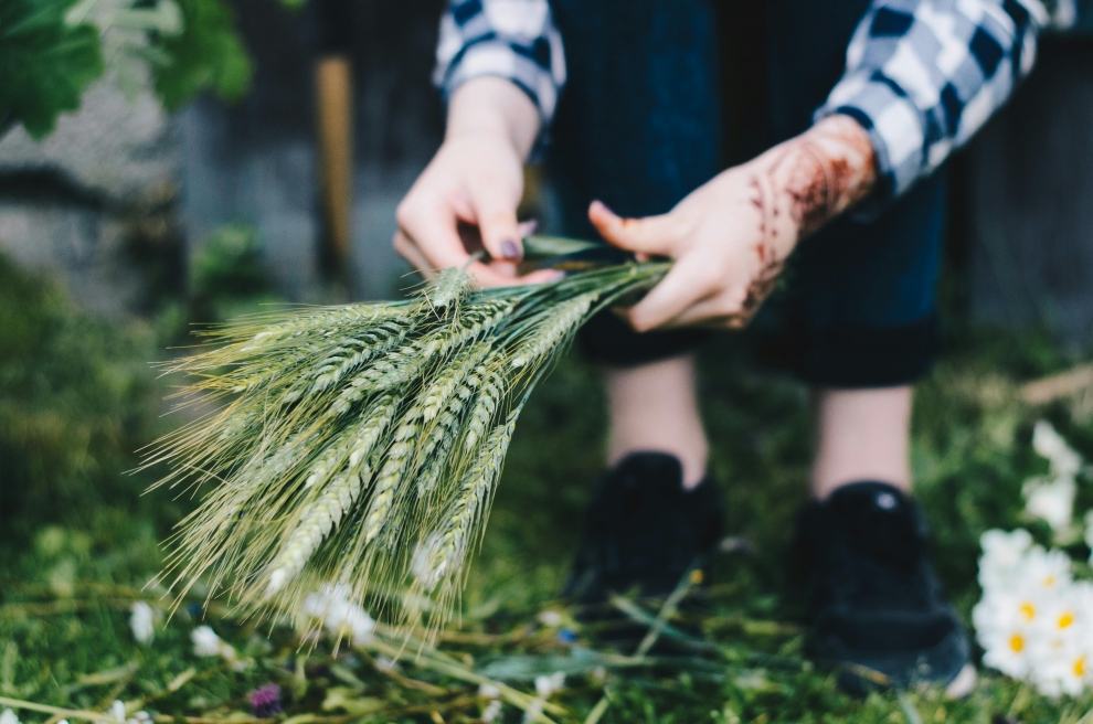 Miķeļdiena: tradīcijas, ticējumi un svētku prieki