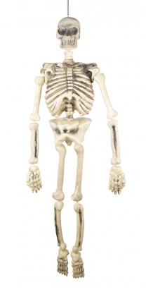 Dekoracija "Skeletas" (1,50 m)