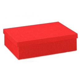 Dėžutė / stačiakampė / raudona (1 vnt./220x160x40 mm.)