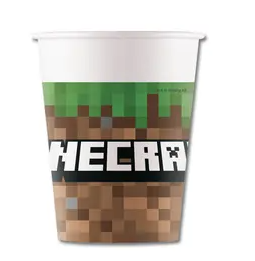 Topsid "Minecraft" (8 tk/200 ml)